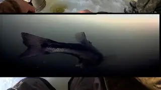 Underwater Camera for Ice Fishing on a Pond (Big Fish Spotted)