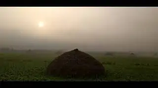 The best and beautiful village morning view | Vemanoor Vill | Krishna district | ectn visions