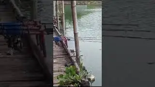 Petualangan#fishing #memancing #serunyamancing