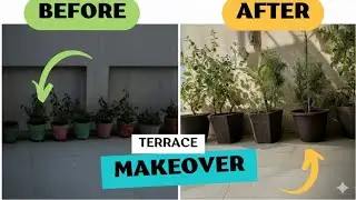 Terrace Garden Makeover in Budget 🌿 | Day vlog with Sassy seung #dayvlog #sassyseung #makeover #vlog