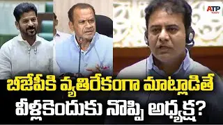 బీజేపీకి వ్యతిరేకంగా మాట్లాడితే వెళ్లకెందుకు నొప్పి అధ్యక్షా KTR Question On Union Budget| ATPToday