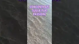 CONCENTRATI SULLE TUE PASSIONI #passioni #passione #frase #frasi #frasibelle
