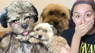 FX Makeup Artist Transforms Me Into My Dog