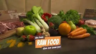 Shop Big Dog Barf Raw Dog Food Here | Get your first $10 OFF at Singapore&rsquo;s Best Online Pet Store