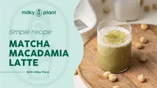 How to Make Creamy Matcha Macadamia Latte | Recipes by Milky Plant 🌱