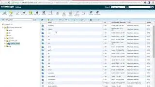 Creating Live Files Using File Manager