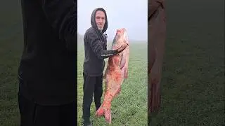 Giant Silver Carp 48 LB #river #catch #catch #viralvideo #viralshorts #reels #fyp #fish #fishman