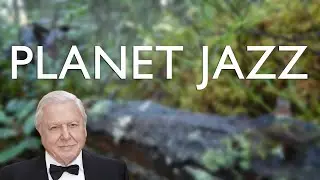 PLANET JAZZ - a nature documentary