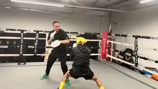 Andy Dominguez Hitting Mitts