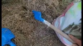 Почему? Я спасаю кроличий помет? @ Wide Open Transit Farm