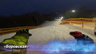 Лев 6 ЛЕТ 
