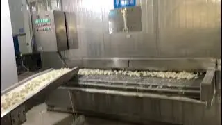 SUS304 Mesh Belt Tunnel Freezer factory