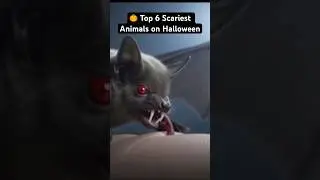 These 6 Creatures Make Halloween Look Cute 👻🦇#animals #youtubeshorts #wildlife #shorts #halloween