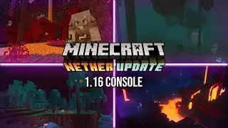The Minecraft 1.16 Console Experience...