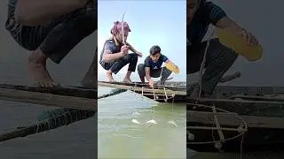 Amazing hook fishing using many fish #fishing #fishingvideo #hook #bait #amazing #usa #riverfishing