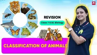Don&rsquo;t Miss This! Fast Revision of Classification of Animals | Class 7 ICSE
