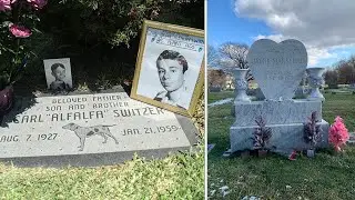 25 Abandoned Graves of Famous Hollywood Stars #grave #stars #moviestars #rip #hollywood