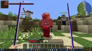 Welcome to The New Era (One Piece Minecraft Server)