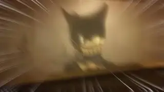 Bendy Alpha In 2026...
