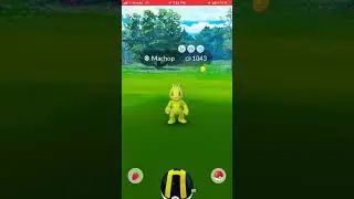 #shinypokemon #pokego Look what I caught it&rsquo;s a Shiny Machop ✨💚
