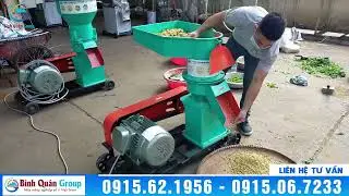 Máy Ép Cám Viên S250 Dùng Động Cơ  Bình Quân Group