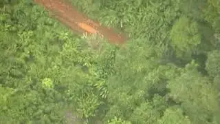 Darien from above, forest and deforested areas