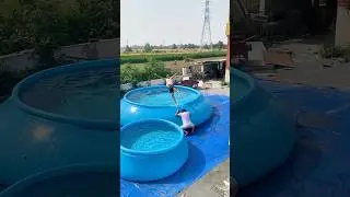 The 