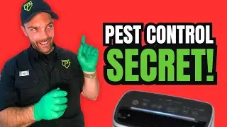 This Free Easy Natural Pest Control Tip Keeps Spiders & Bugs Out!