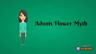 Adonis Flower Myth