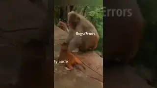 Stack Overflow 😅 
