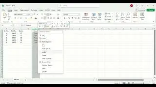 Inserting blank columns and rows