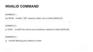 RCL and JNZ/JZ possible command in 8086 microprocessor
