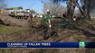 Veterans, active military members help clean up fallen trees in Sacramento