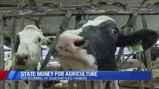 State Money for Agriculture