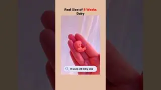 8 Weeks Baby Real Size 😍 #pregnancy #embryo #subscribe