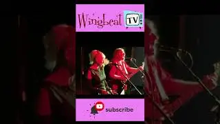 Wingbeat original song 