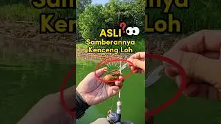 Bisa-Bisanya Strike Keong 😂 #fishing #mancing #mancingmania #garnispancing #shorts