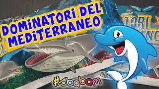 🦈 DOMINATORI del MEDITERRANEO 🐬 CON SUPER SPECIALE! 🌟 Sbabam | Speciale Edicola