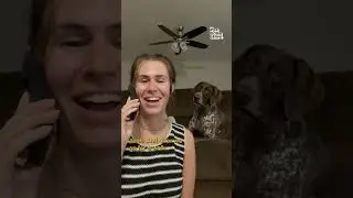 Curious Dog Listens In On Phone Call