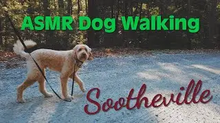ASMR Dog Walking - Fall walk on a winding, gravel road 4K (No Music)