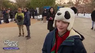 We celebrate the Year of the Snake during Lunar New Year | Nightly News: Kids Edition