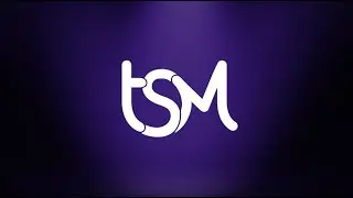 2021 TSM Stop-Motion Release Recap