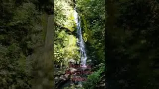Beautiful Waterfall In The Forest #short #birshamunda official