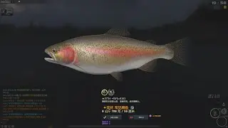 Fisher Online - 26 : Finland - 常見鳟鱼Trout