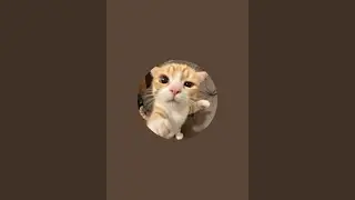 DERI MANANTA sedang live sekarang!