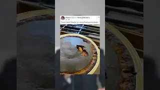 Her Post Completely Backfired 🤣