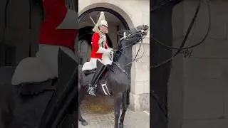 Masterful Horsemanship by the King's Guard! 🐴👑 #SHORTSFEED