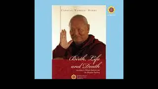 PROF. NAMKHAI NORBU: TIBETAN HISTORY AND TIBETAN MEDICINE
