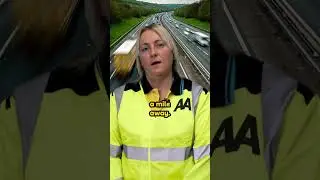 AI Traffic Cameras