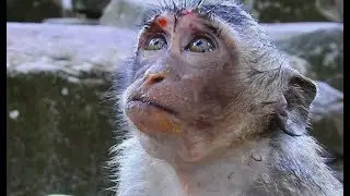 Poor baby Jessie up face Ask to god, Where my mom| Poor orphan Jessie got bad problem often.